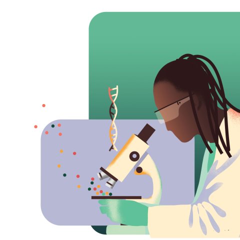 Illustratorin: Olga Aleksandrova