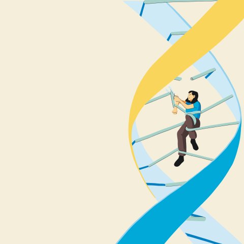 Illustrationen: Daniel Crespo | danielcrespo.es