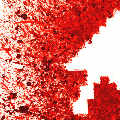 Foto: www.istock.com